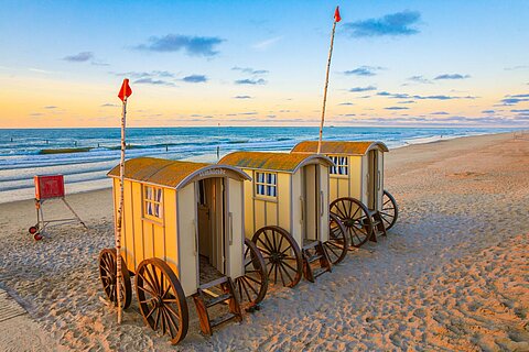 Königin der Nordsee