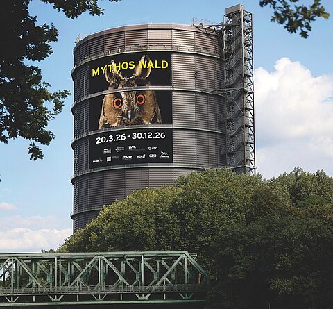 Mythos Wald im Gasometer